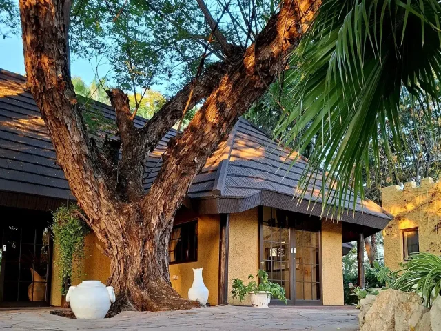 Farm Capbon – Unterkunft mit Schattenbaum im Innenhof